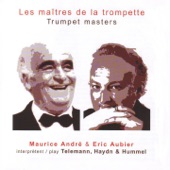 Concerto pour trompette en Ré majeur Allegro artwork