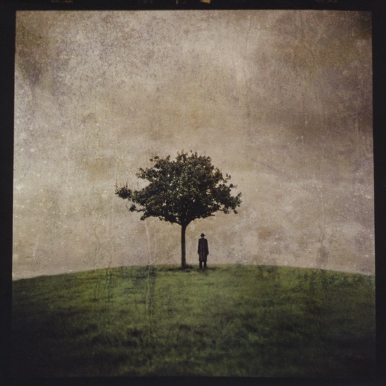 Cover artwork for Parasites