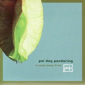 Poi Dog Pondering - In Seed Come Fruit