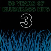 Bluegrass Concerto artwork