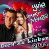 Dich zu lieben 2011 - Single