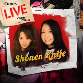 Shonen Knife - Top of the World