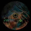 Psychosis / Domination - Single