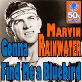 Gonna Find Me a Bluebird (Digitally Remastered) artwork