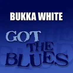 Got the Blues - Bukka White