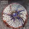 Distinction - Waxing Poetics lyrics