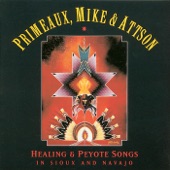 Healing and Peyote Songs In Sioux and Navajo artwork