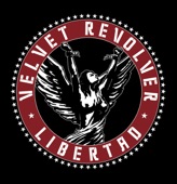 Velvet Revolver - She Builds Quick Machines