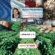 Alexa Polidoro - French for Intermediate Learners: Lesson 1 (Unabridged)