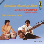 Excellent Sound of Sitar: Shahid Parvez At His Best