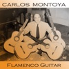Flamenco Guitar, 2010