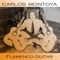 Alhambra - Granada - Carlos Montoya lyrics