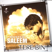 Tere Bin artwork