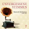 Unvergessene stimmen, Vol. 7 album lyrics, reviews, download