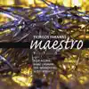 Stream & download Maestro (feat. Alex Acuna, Bireli Lagrene, Eric Marienthal & Scott Kinsey)