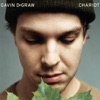 Gavin DeGraw - Follow Through (Radio Edit)
