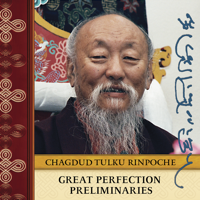 Chagdud Tulku Rinpoche - Great Perfection Preliminaries artwork