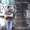 Tony Basley - Take a Letter Maria
