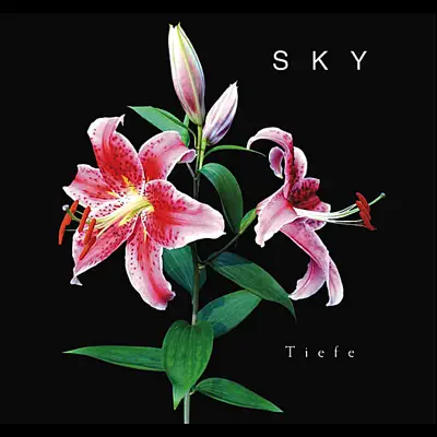 Tiefe - Sky