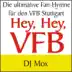 Hey, Hey, VFB (Die VFB Stuttgart Fan Hymne) song reviews