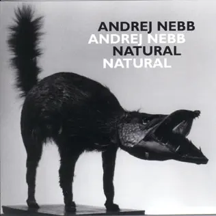 descargar álbum Andrej Nebb - Natural