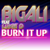 Burn It Up (Edit Radio) [feat. Lukie D] artwork