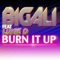 Burn It Up (Edit Radio) [feat. Lukie D] artwork