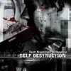 Self Destruction (feat. DJ Neophyte) - Single album lyrics, reviews, download
