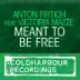 Meant To Be Free (Original Mix) [feat. Victoria Mazze] song reviews