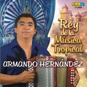 Armando Hernandez Rey de la Musica Tropical artwork