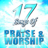 17 Songs of Praise & Worship artwork