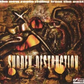 Son of Man A.k.a. Sudden Destruction / Itack & Bongo Asha artwork