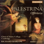 Palestrina: Offertoria artwork