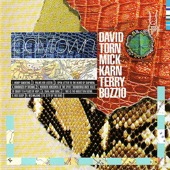 David Torn - Bandaged By Dreams