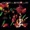 Eric Johnson ;  Joe Satriani ;  Steve Vai - Red House (Live)