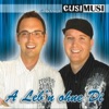 A Lebn ohne di - Single