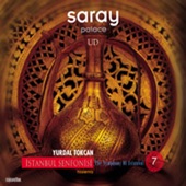 Saray - Hislenis artwork