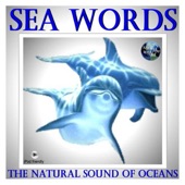 Sea Words - Stormy Ocean