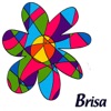 Brisa, 2011