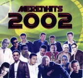 Merenhits 2002