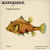 Liquid Journeys artwork