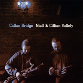 Niall & Cillian Vallely - An Buachaill Caol Dubh