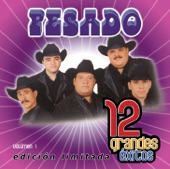 Pesado: 12 Grandes Éxitos, Vol. 1, 2007