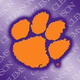 Image result for clemson tigers