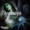 High - Antheya lyrics