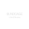 BLINDCAGE - pm 9:17