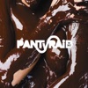 Pantyraid - Upset