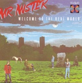 Mr. Mister - Broken Wings - 504