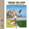 Birds Of The Alps