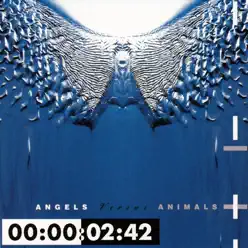 Angels Versus Animal - Front 242